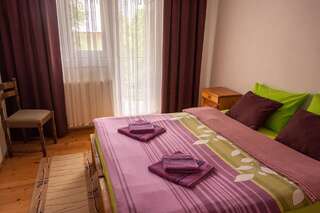 Апарт-отели Apartman Olivera Жабляк Апартаменты-29